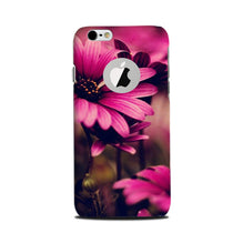 Purple Daisy Mobile Back Case for iPhone 6 Plus / 6s Plus logo cut  (Design - 65)