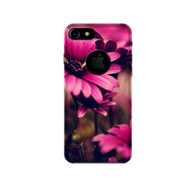 Purple Daisy Mobile Back Case for iPhone 7 logo cut (Design - 65)