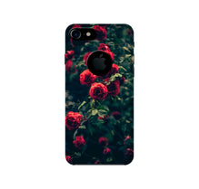 Red Rose Mobile Back Case for iPhone 7 logo cut (Design - 66)