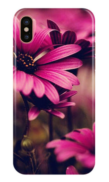 Purple Daisy Mobile Back Case for iPhone X (Design - 65)