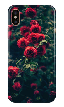 Red Rose Mobile Back Case for iPhone X (Design - 66)