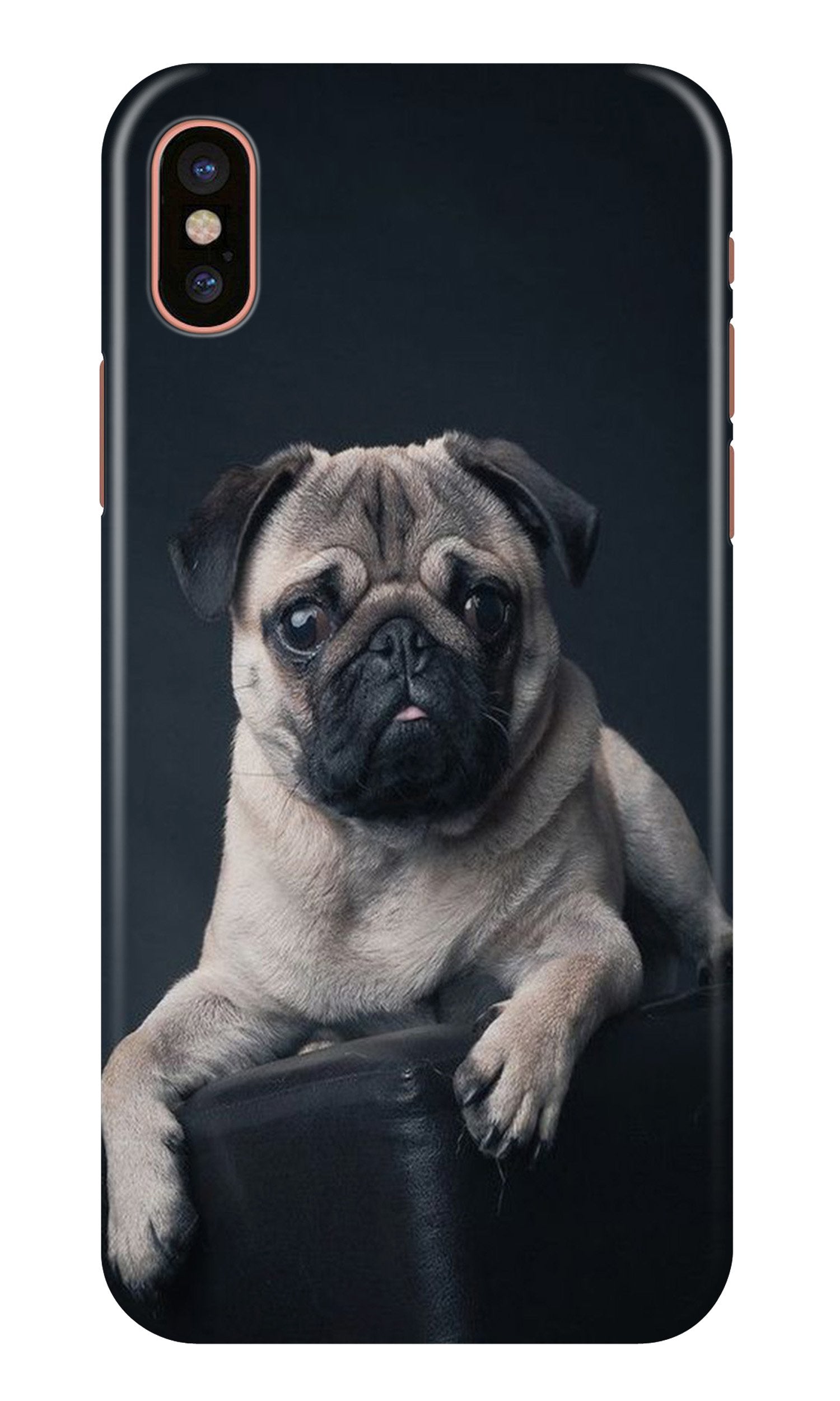 little Puppy Case for iPhone X