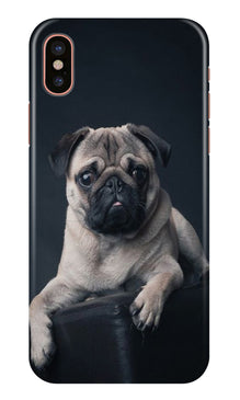 little Puppy Mobile Back Case for iPhone X (Design - 68)