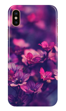 flowers Mobile Back Case for iPhone Xr (Design - 25)