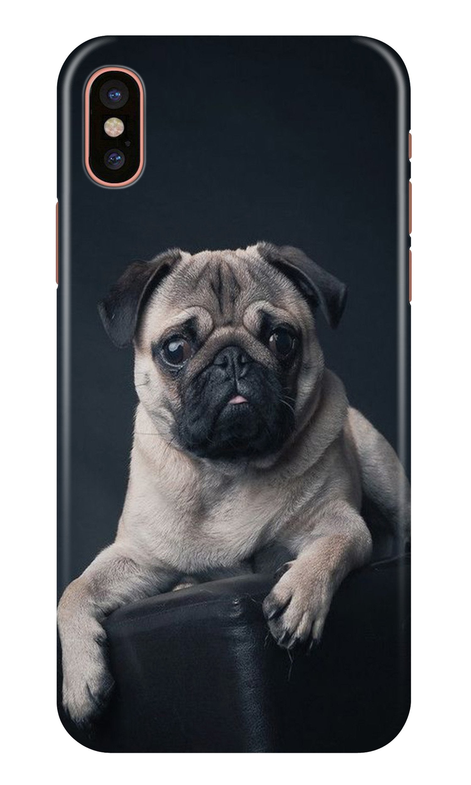 little Puppy Case for iPhone Xr