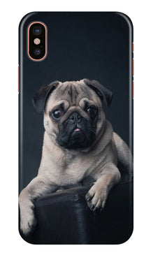 little Puppy Mobile Back Case for iPhone Xr (Design - 68)