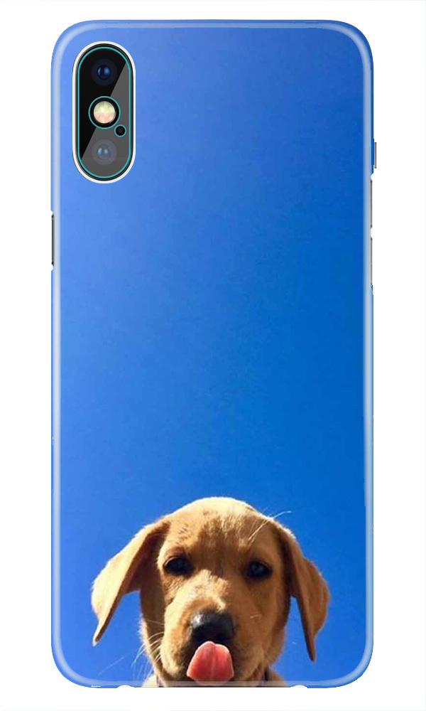 Dog Mobile Back Case for iPhone Xr  (Design - 332)