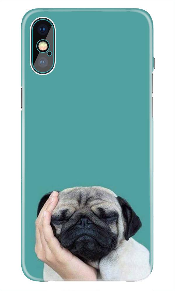 Puppy Mobile Back Case for iPhone Xr  (Design - 333)