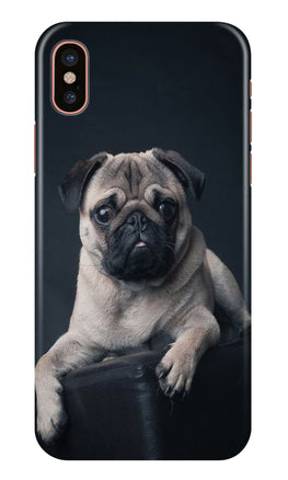 little Puppy Case for iPhone Xs