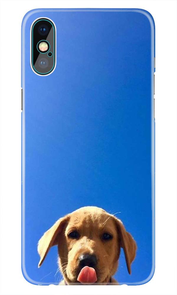 Dog Mobile Back Case for iPhone Xs(Design - 332)