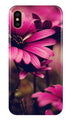 Purple Daisy Case for iPhone Xs Max