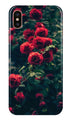 Red Rose Case for iPhone Xs Max