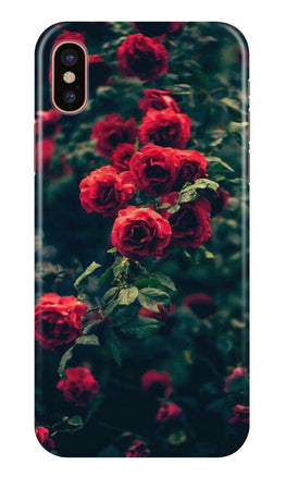 Red Rose Case for iPhone Xs Max