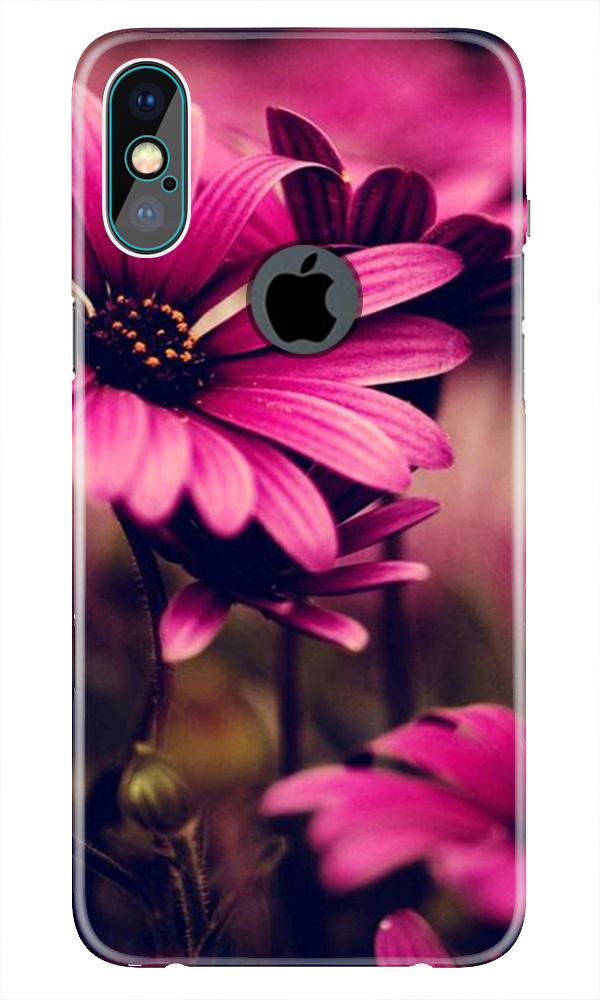 Purple Daisy Case for iPhone Xs Max logo cut 