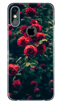 Red Rose Mobile Back Case for iPhone Xs Max logo cut  (Design - 66)