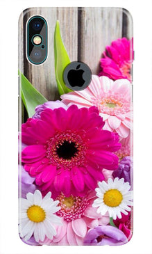 Coloful Daisy2 Mobile Back Case for iPhone Xs Max logo cut  (Design - 76)