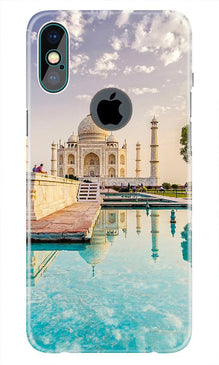 Tajmahal Mobile Back Case for iPhone Xs Max logo cut  (Design - 96)
