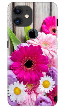 Coloful Daisy2 Mobile Back Case for iPhone 11 Logo Cut (Design - 76)
