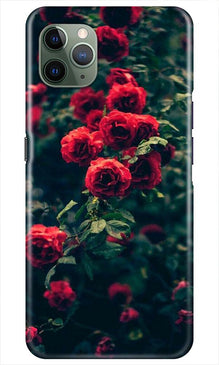 Red Rose Mobile Back Case for iPhone 11 Pro Max (Design - 66)