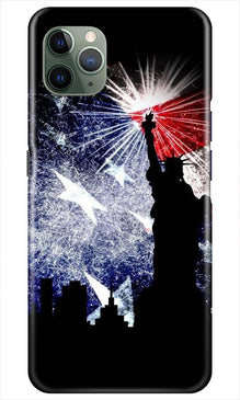 Statue of Unity Mobile Back Case for iPhone 11 Pro Max (Design - 294)