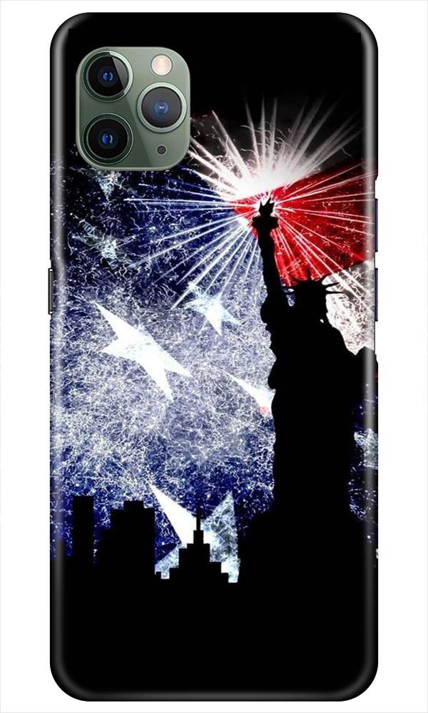 Statue of Unity Case for iPhone 11 Pro Max (Design No. 294)