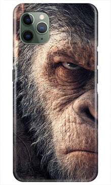 Angry Ape Mobile Back Case for iPhone 11 Pro Max (Design - 316)