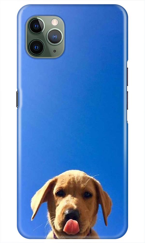 Dog Mobile Back Case for iPhone 11 Pro Max (Design - 332)