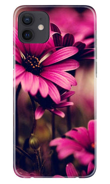 Purple Daisy Mobile Back Case for iPhone 12 Mini (Design - 65)