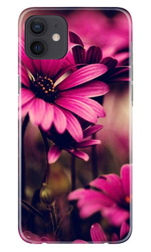Purple Daisy Mobile Back Case for Xiaomi Redmi 9 (Design - 65)