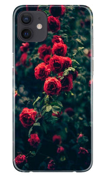 Red Rose Mobile Back Case for iPhone 12 Mini (Design - 66)