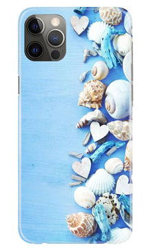 Sea Shells2 Mobile Back Case for iPhone 12 Pro Max (Design - 64)