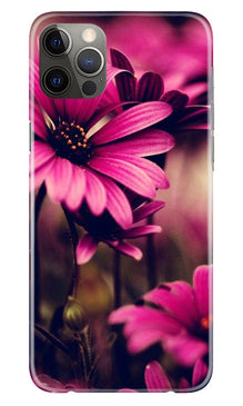 Purple Daisy Mobile Back Case for iPhone 12 Pro (Design - 65)
