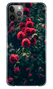 Red Rose Mobile Back Case for iPhone 12 Pro (Design - 66)