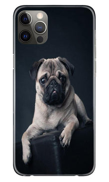 little Puppy Mobile Back Case for iPhone 12 Pro (Design - 68)