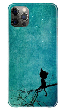 Moon cat Mobile Back Case for iPhone 12 Pro Max (Design - 70)