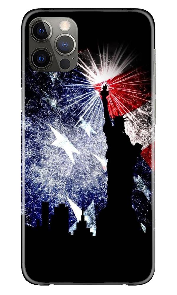 Statue of Unity Case for iPhone 12 Pro Max (Design No. 294)