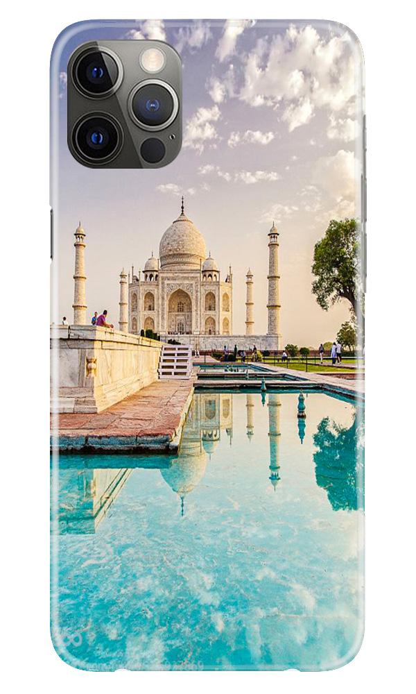 Taj Mahal Case for iPhone 12 Pro (Design No. 297)