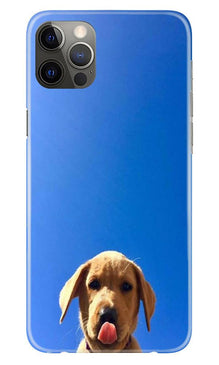 Dog Mobile Back Case for iPhone 12 Pro Max (Design - 332)