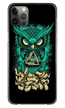 Owl Mobile Back Case for iPhone 12 Pro Max (Design - 358)