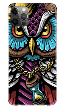 Owl Mobile Back Case for iPhone 12 Pro (Design - 359)