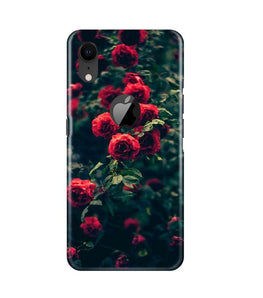 Red Rose Case for iPhone Xr Logo Cut