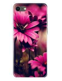Purple Daisy Mobile Back Case for iPhone Se 2020 (Design - 65)
