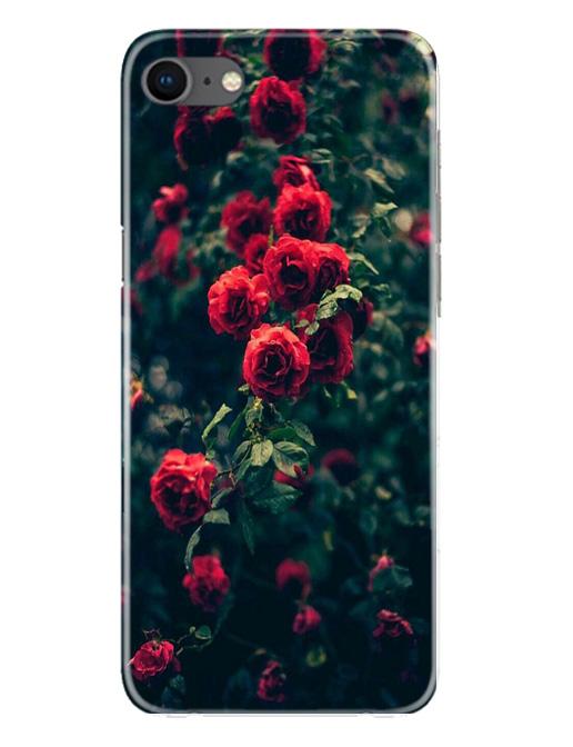 Red Rose Case for iPhone Se 2020