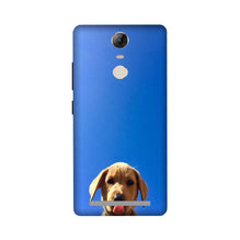 Dog Mobile Back Case for Lenovo Vibe K5 Note (Design - 332)