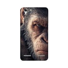 Angry Ape Mobile Back Case for Lenovo K5 / K5 Plus (Design - 316)