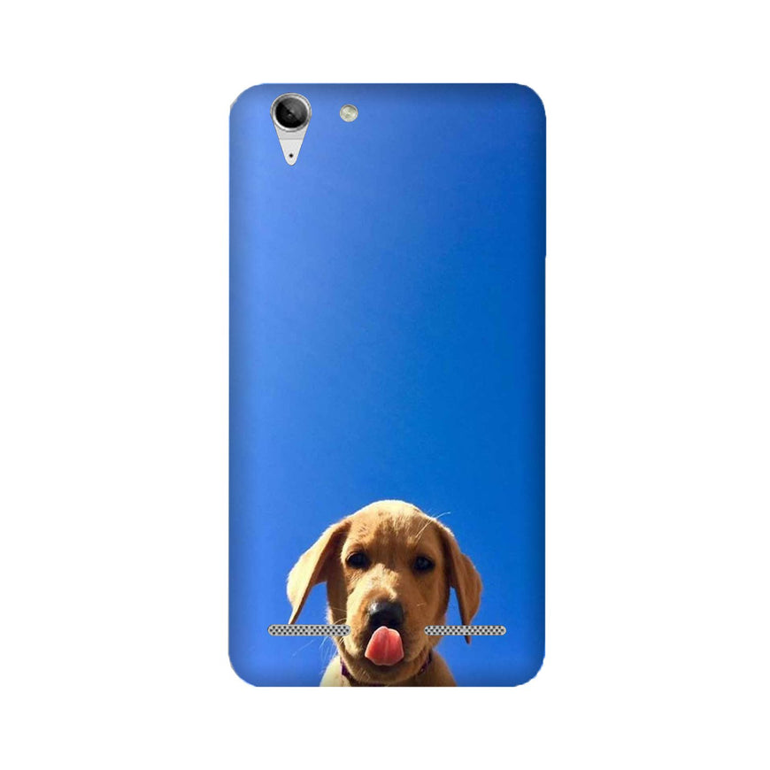 Dog Mobile Back Case for Lenovo K5 / K5 Plus (Design - 332)