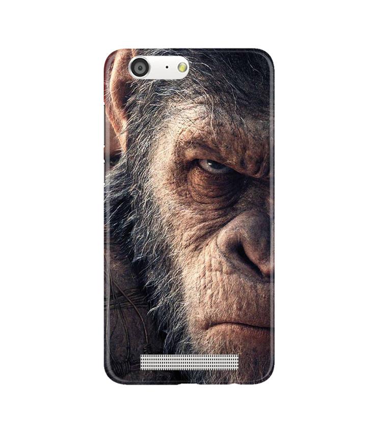 Angry Ape Mobile Back Case for Gionee M5 (Design - 316)