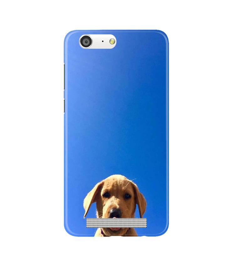 Dog Mobile Back Case for Gionee M5 (Design - 332)
