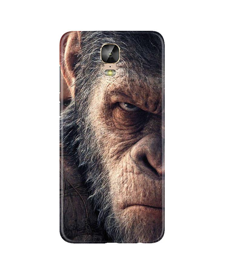 Angry Ape Mobile Back Case for Gionee M5 Plus (Design - 316)