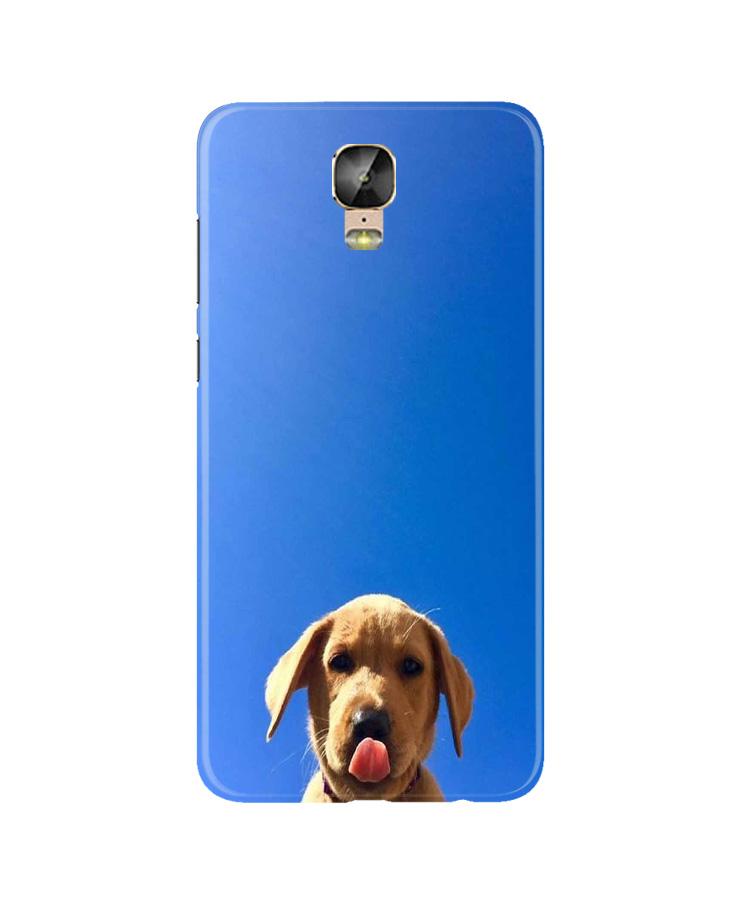 Dog Mobile Back Case for Gionee M5 Plus (Design - 332)
